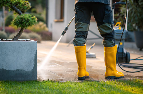 Best Surface-Specific Cleaning in Montclair State University, NJ